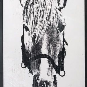 Meet your Posher, Greg